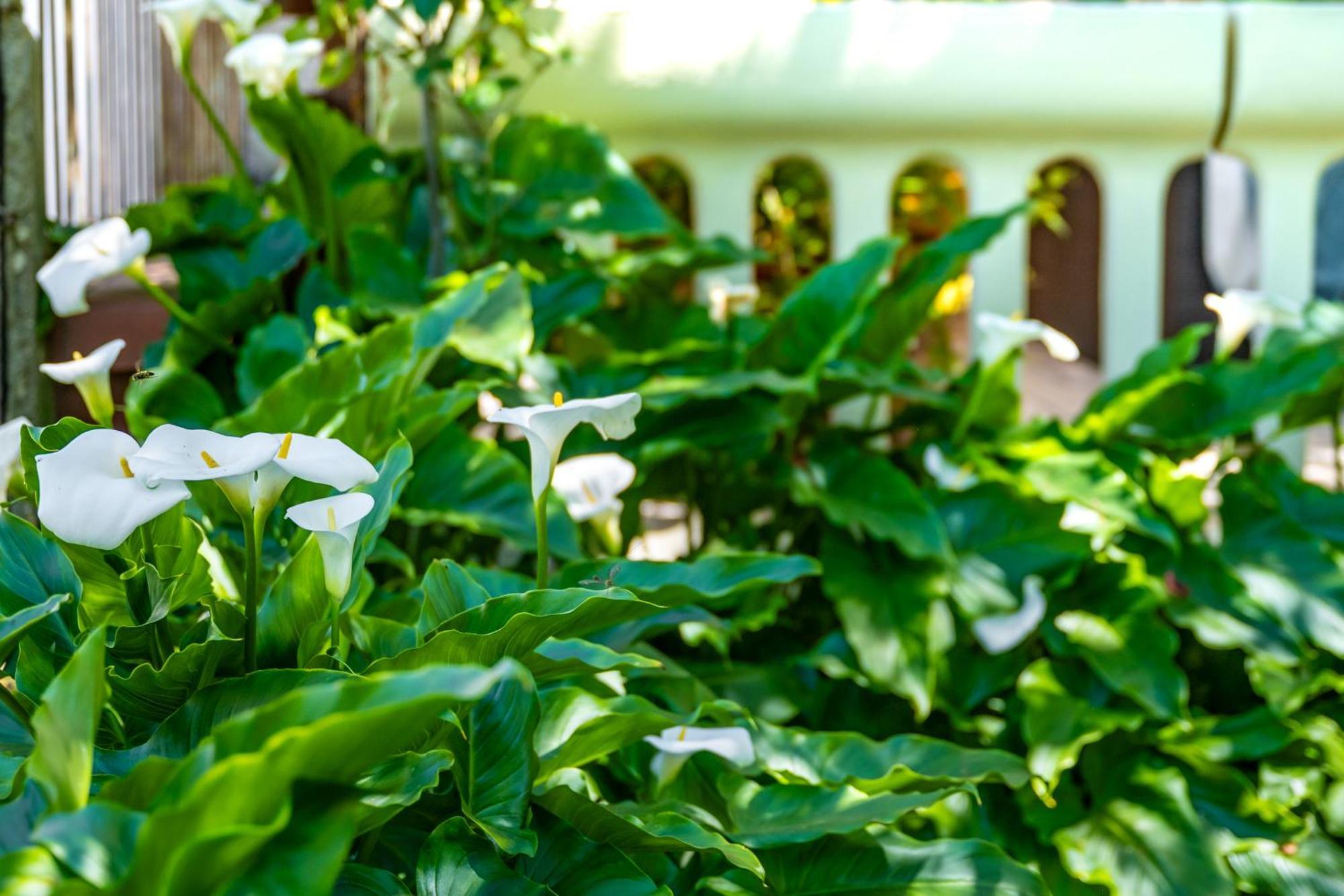 E-M Apartments With Private Pool Vinkuran Bagian luar foto