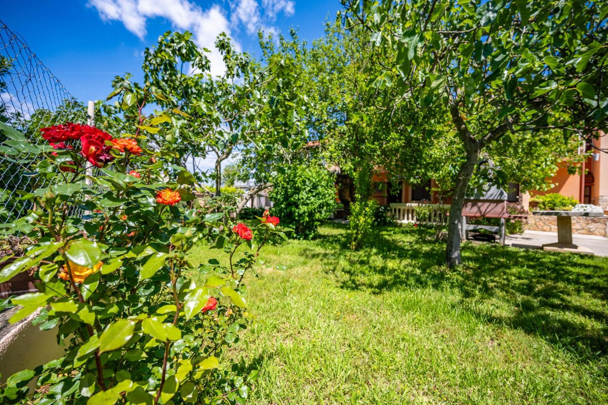 E-M Apartments With Private Pool Vinkuran Bagian luar foto