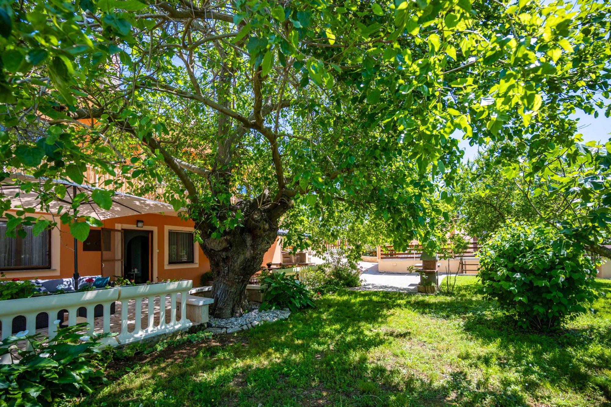 E-M Apartments With Private Pool Vinkuran Bagian luar foto