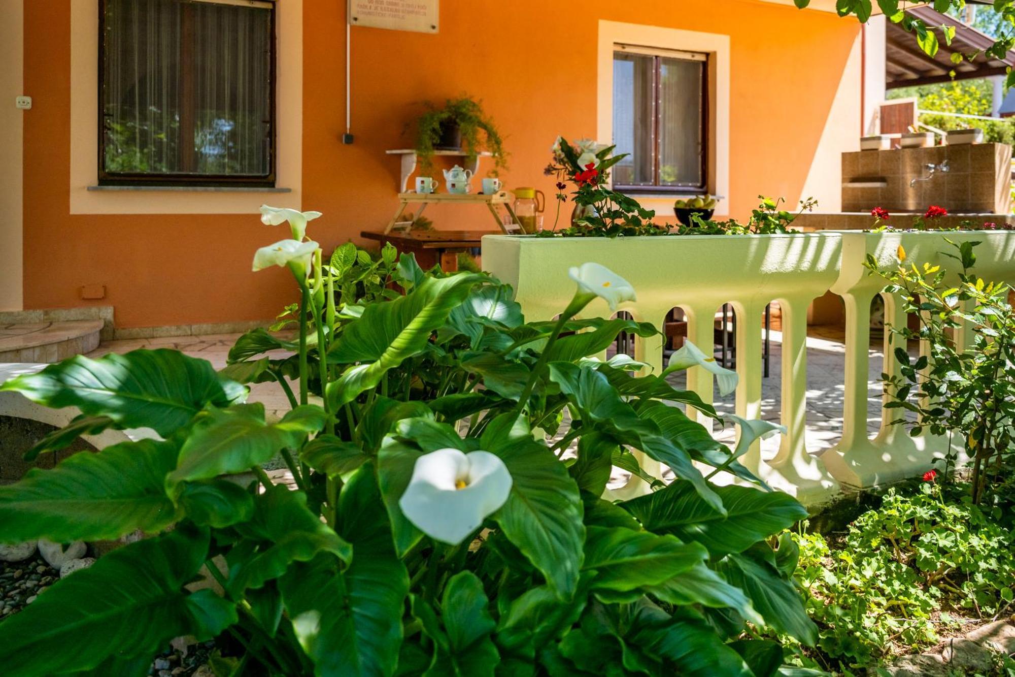 E-M Apartments With Private Pool Vinkuran Bagian luar foto